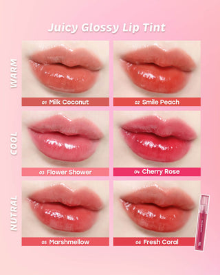 best lip tint balm, glossy lipstick, touch in sol