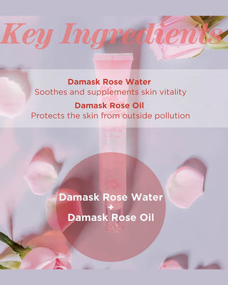 damascus rose, rosa damascena, priming water